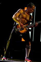 Flea (musician) Flea (musician)
